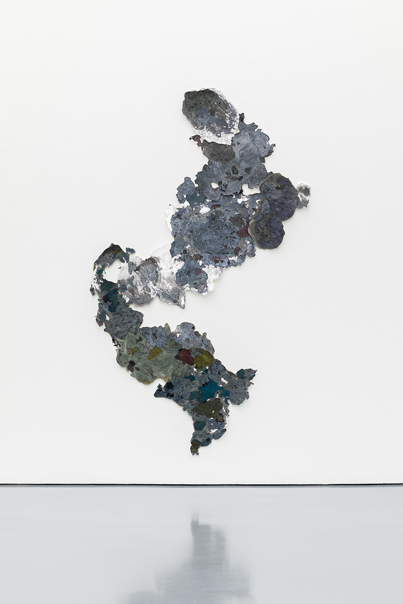 13_Rhizome_ink and pencil on paper_280 x 190 cm_Kunstpalast Dusseldorf 2022